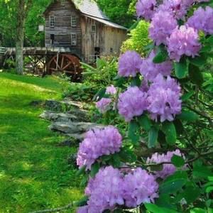 Meet your Posher, Jody